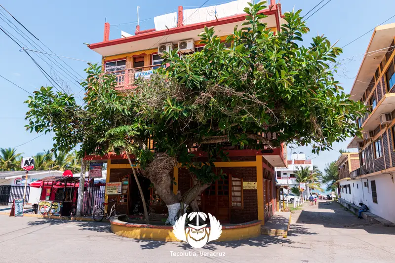 Casa de Huéspedes Altamar